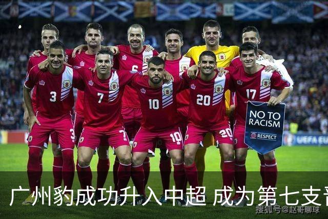 广州豹成功升入中超 成为第七支晋级球队
